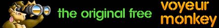 Voyeur Monkey